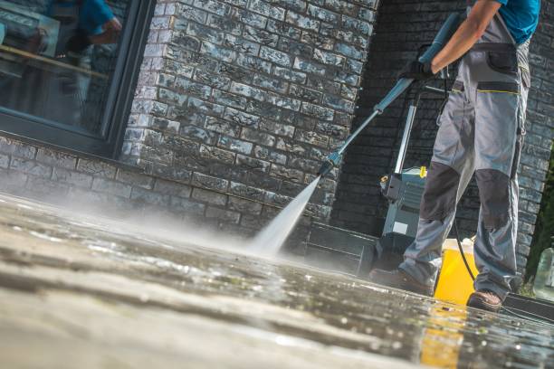 Best Window and Screen Pressure Cleaning in Mount Pleasant, TX